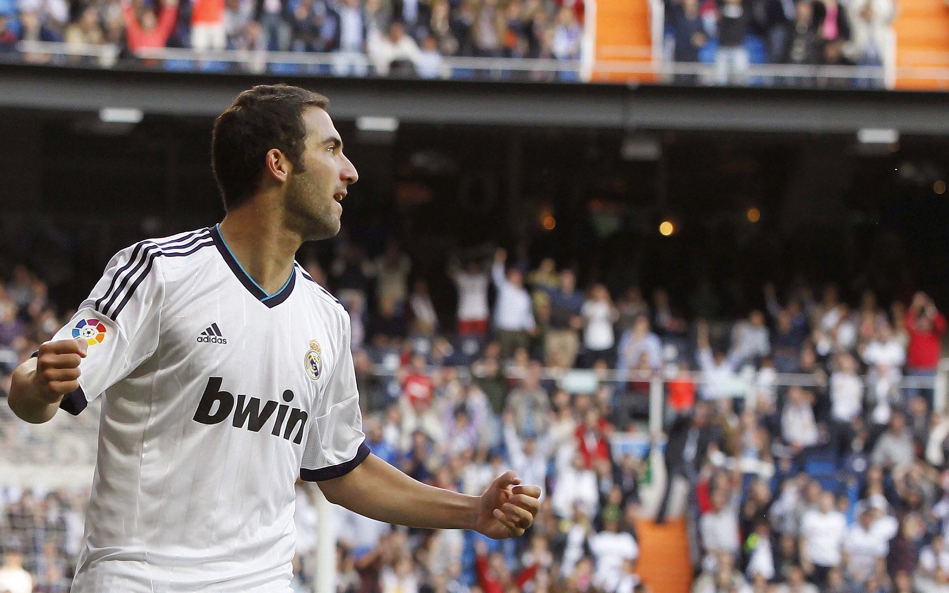 综合格斗赛场焦点！克罗地亚队对阵法国队，战术博弈精彩纷呈，教练斗智斗勇